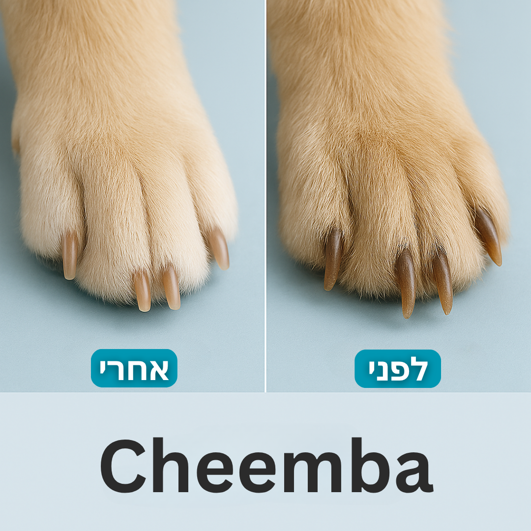 קוצץ ציפורניים מקצועי לכלבים