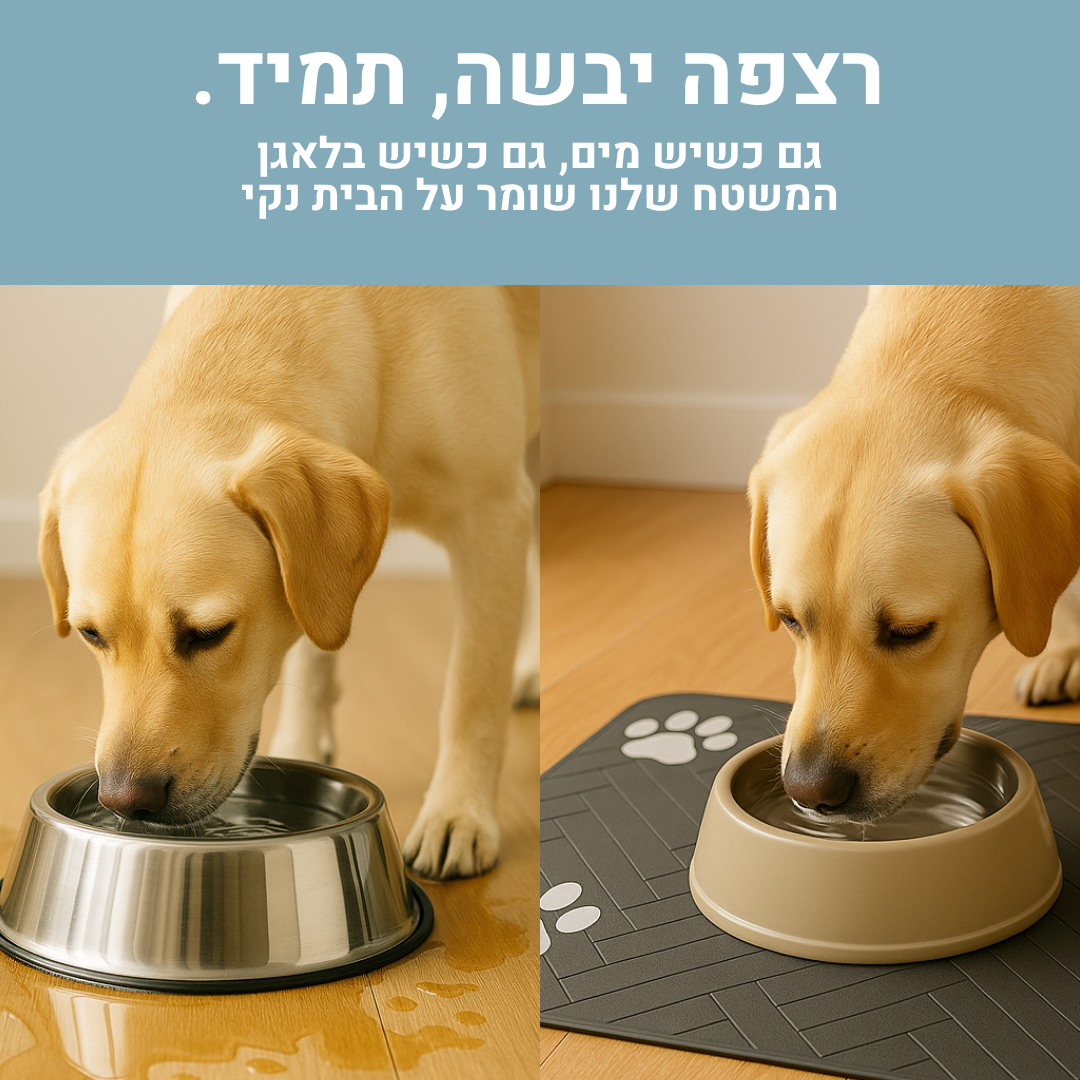 משטח האכלה לכלבים