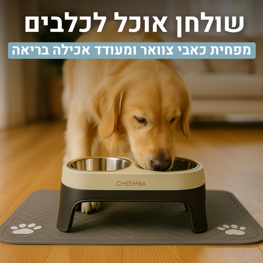 מעמד אכילה לכלבים