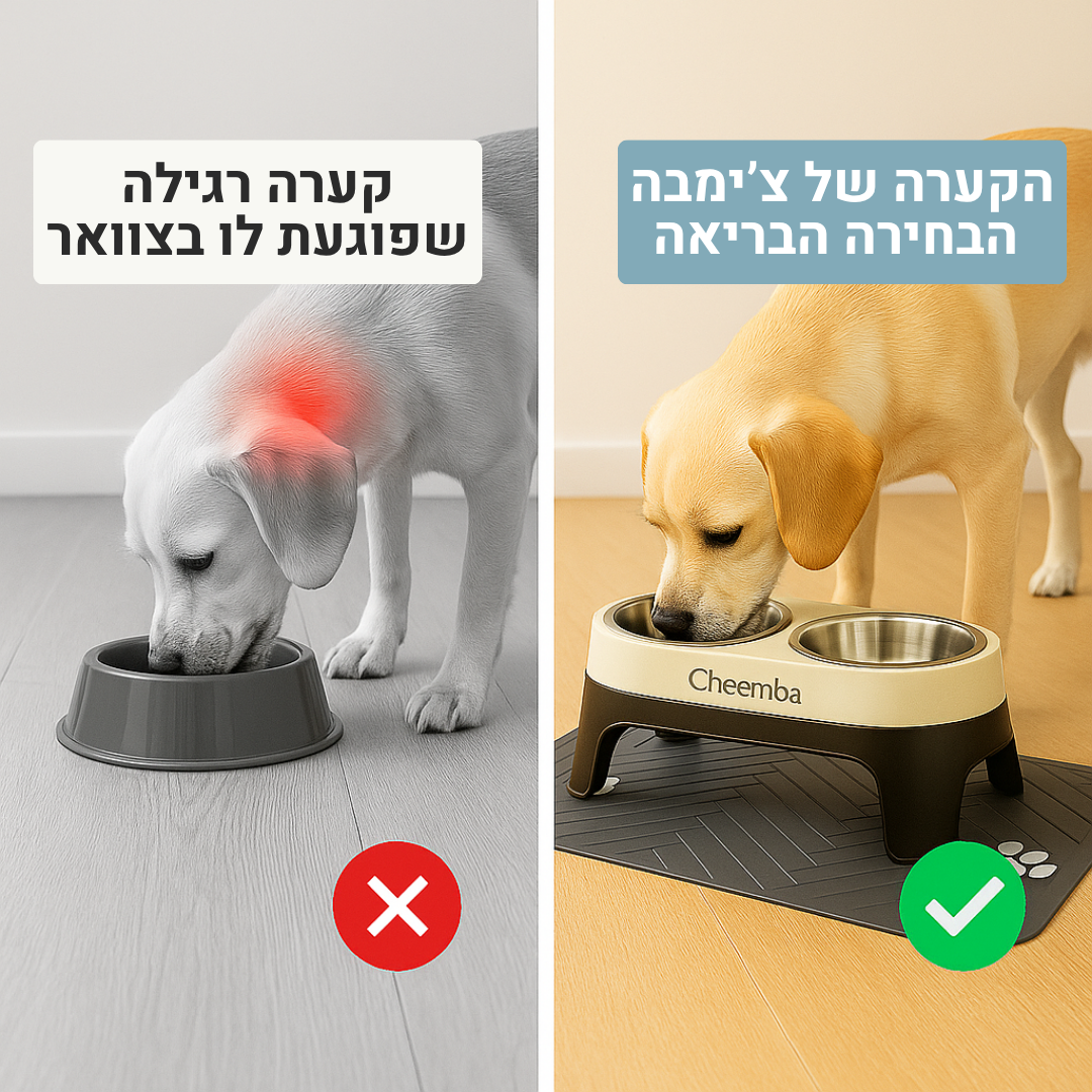 מעמד אכילה לכלבים